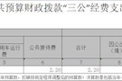 武陵区委统一战线工作部2021年一般公共预算财政拨款“三公”经费支出决算表