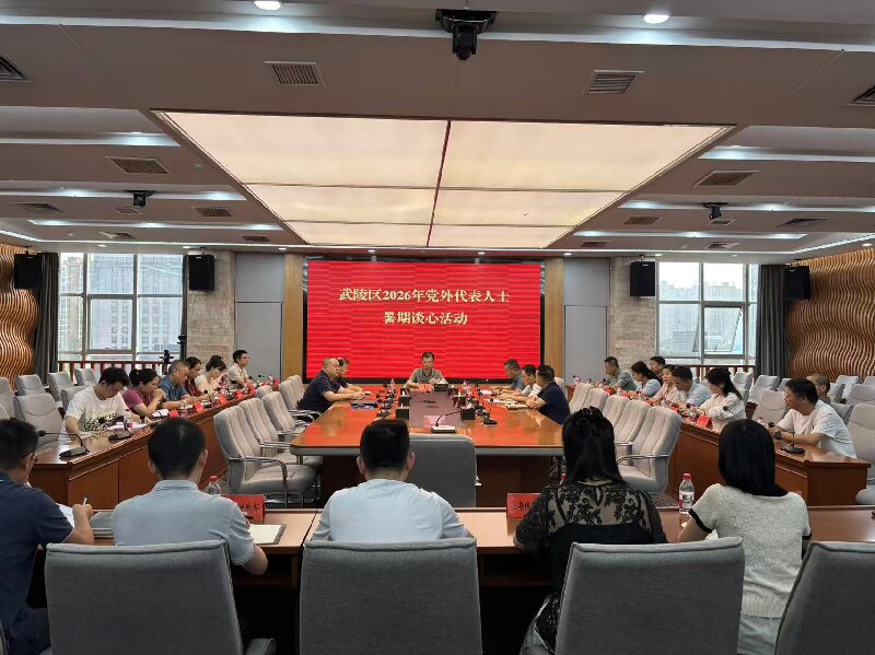 武陵区举行2026年度党外代表人士暑期谈心活动