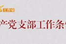 中共中央印发《中国共产党支部工作条例（试行）》